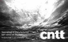 推薦案例：中國天正集團天天閥門網(wǎng)站設計